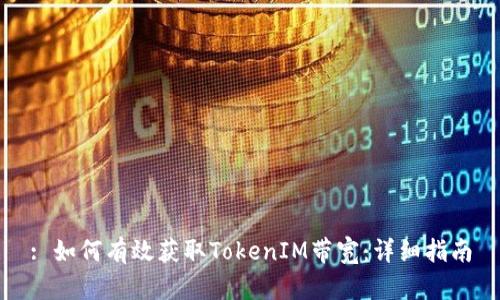 : 如何有效获取TokenIM带宽:详细指南