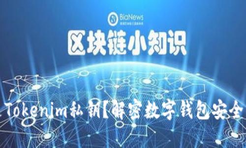 什么是Tokenim私钥?解密数字钱包安全的核心