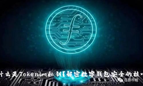 什么是Tokenim私钥?解密数字钱包安全的核心
