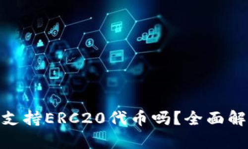 Tokenim支持ERC20代币吗?全面解析与应用