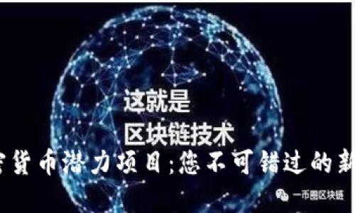 2023年加密货币潜力项目：您不可错过的新兴投资机会