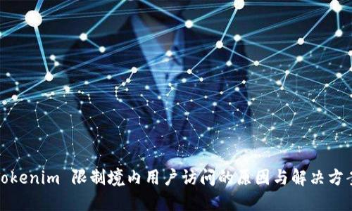 Tokenim 限制境内用户访问的原因与解决方案