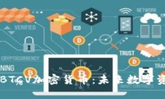 深入了解BTCV加密货币：未