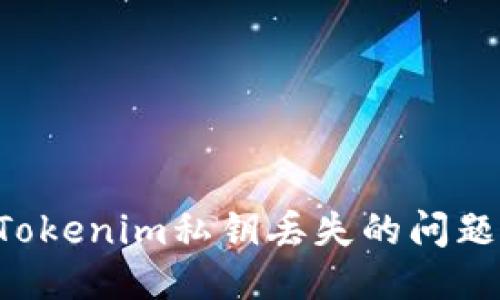 如何处理Tokenim私钥丢失的问题：全面指南
