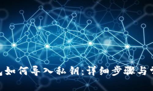 Tokenim钱包如何导入私钥：详细步骤与常见问题解析